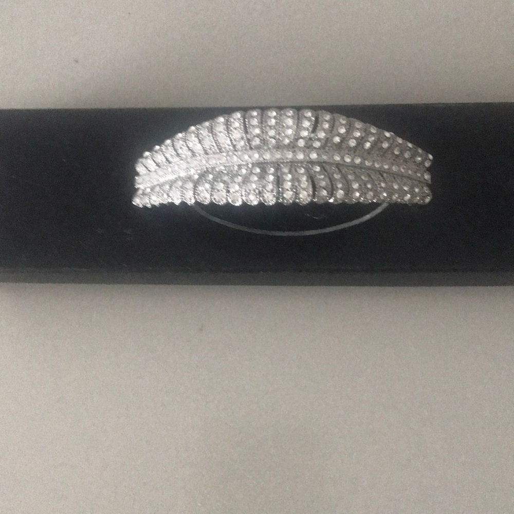 Large dressy hair clasp